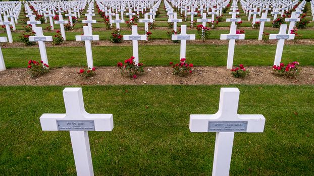 Crosses of people dead in WWI