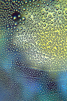 Abstract background. Drops of water on the crooked glass, shallow dof