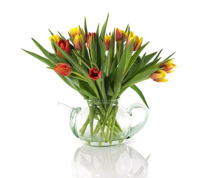 red and yellow tulips isolated on white 