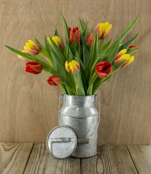 red and yellow tulip flowers on wooden background