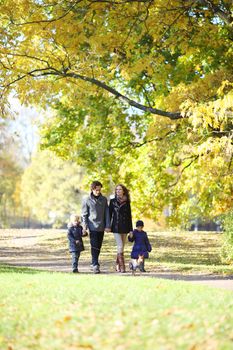 Happy family walking in autumn park at sunny day