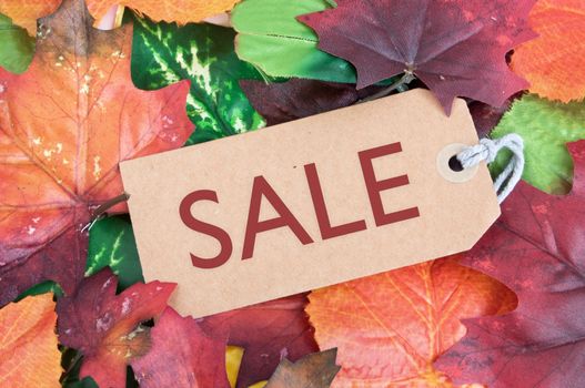 Autumn sales tag amongst leaves 