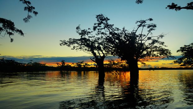 Sunset in Cuyabeno lagoon in the Ecuadorian Amazon