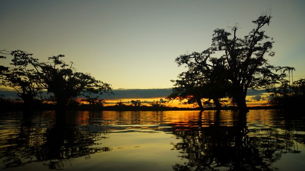 Sunset in Cuyabeno lagoon in the Ecuadorian Amazon