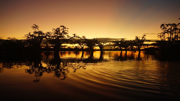 Sunset in Cuyabeno lagoon in the Ecuadorian Amazon