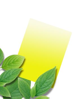 Blank yellow paper card between green leaves on white background