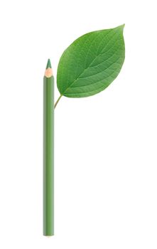 Ecology concept. One pencil with green leaf on white background