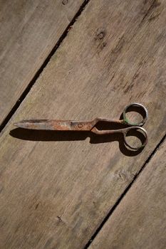Old scissors on the floor