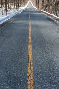 Winter road in forest