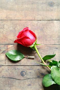 Red rose near leaf on nice old wooden background