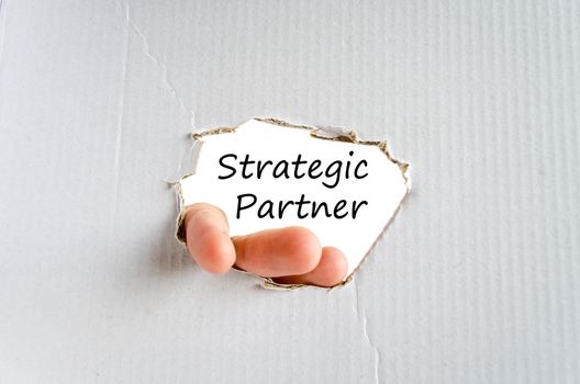 Strategic partner text concept isolated over white background