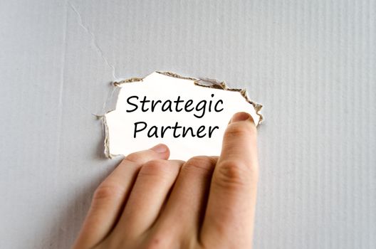 Strategic partner text concept isolated over white background