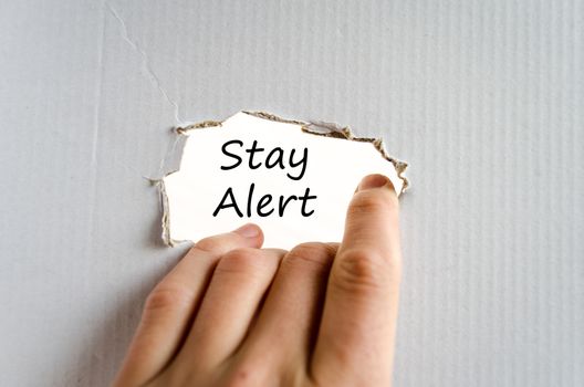 Stay alert text concept isolated over white background