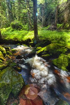 River runs over boulders in the primeval forest