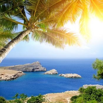 Tropical beach with palm tree. Beautiful tropical landscape