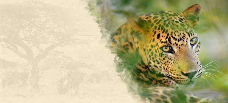 Leopard on textured paper. Animal on a background of old paper