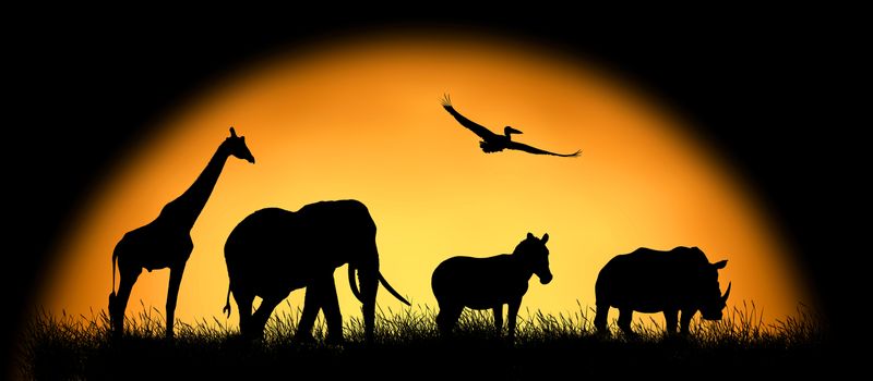 Silhouette african animals on the background of sunset. Large sun on a dark background