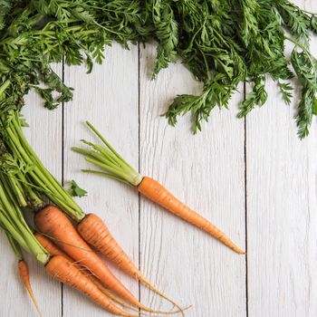 Freshly grown carrots on wooden table