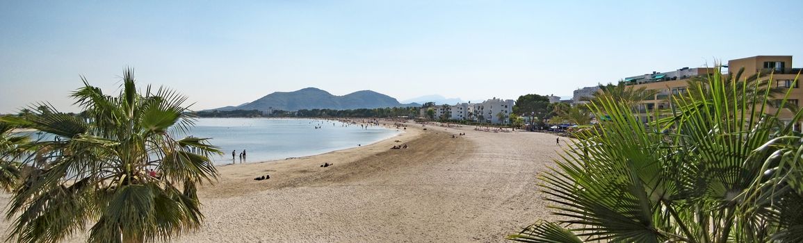 Beach panorama of Alcudia with hotels on the right and group of palms in foreground.