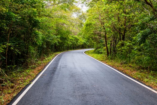 road in Thailand forest