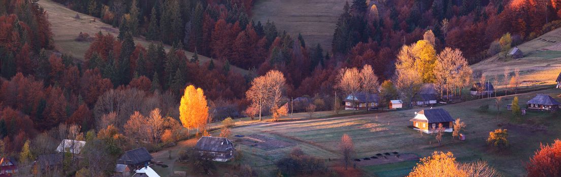 Autumn morning in a mountain village, First rays of the sun. Morning light. Autumn foliage. Golden leaves. Ukraine Carpathians.