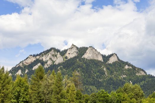 View on Three Crowns Massif in Pieniny Mountains in sunny day, Poland