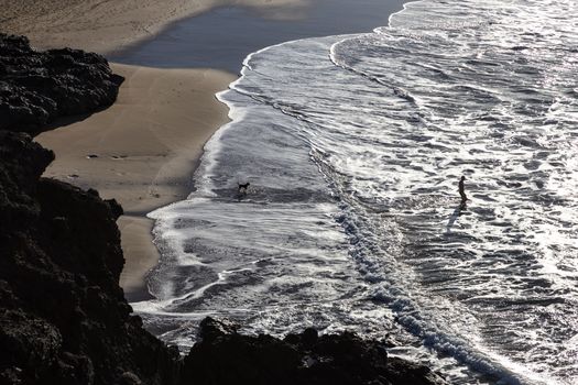 Silhouette of man and dog having fun on surfers beach of La Pared, Fuerteventura, Canary Islands, Spain.