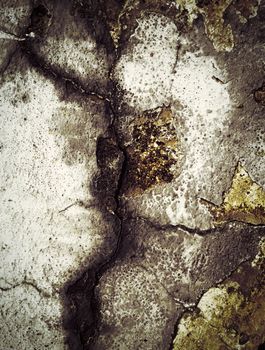 abstract background or texture Detail of an old sand plaster