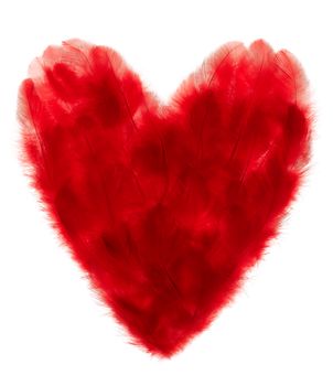 Love, Valentines Day. Heart made of many red feathers. Vintage romantic style isolated on white. Vivid unusual creative greeting card, concept, copyspace