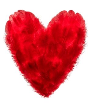 Love, Valentines Day. Heart made of many red feathers. Vintage romantic style isolated on white. Vivid unusual creative greeting card, concept, copyspace