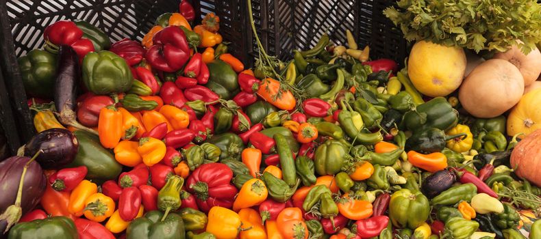 Mix of Peppers, cauliflower and eggplant grown and harvested in Southern California and displayed at a farmers market.