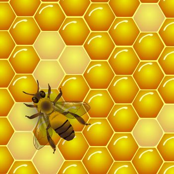 Vector bee and honeycombs texture background. For honey package, tag or wrapping.