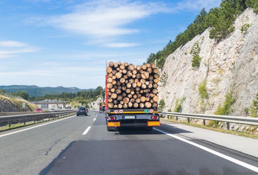 Truck carrying wood on highway. Wood processing industry.