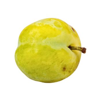 Greenish-yellow plum isolated on a white background