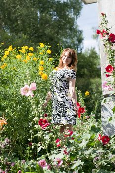 beautiful women surrounded by colorful flowers mallow