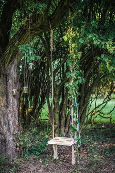 Old wooden swing hanging from a tree decorated with leaves on green grass background