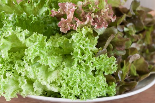 Fresh hydroponic vegetables on wooden table, stock photo