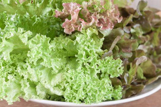 Fresh hydroponic vegetables on wooden table, stock photo