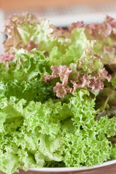 Fresh hydroponic vegetables on wooden table, stock photo