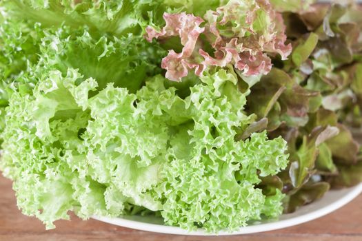 Fresh hydroponic vegetables on wooden table, stock photo