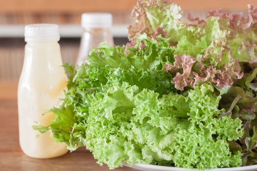 Fresh hydroponic vegetables on wooden table, stock photo