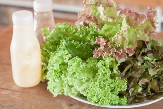 Fresh hydroponic vegetables on wooden table, stock photo