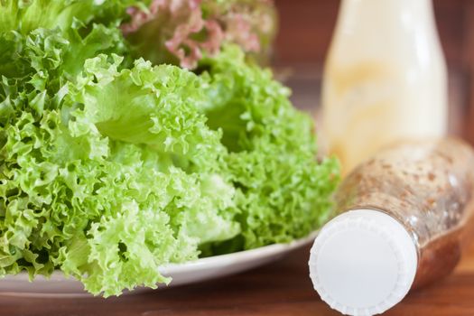 Fresh hydroponic vegetables on wooden table, stock photo