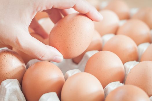 Closed up fresh chicken eggs, stock photo