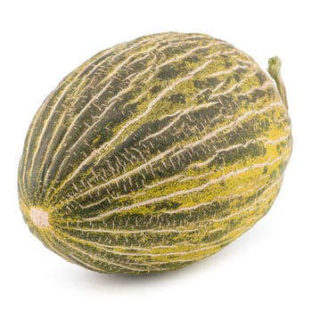 One Fresh whole Piel de sapo melon on white background. Selective focus.  