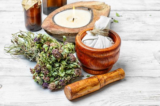 Medicinal plant clover and mortar with pestle