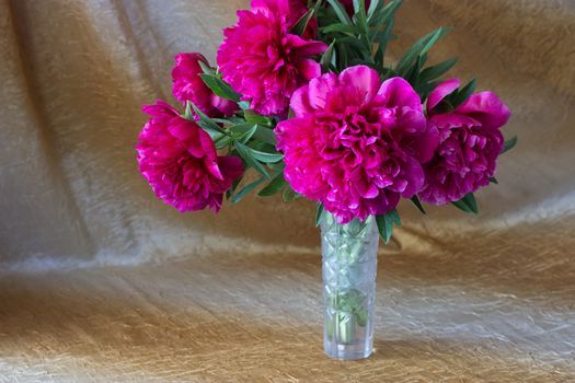 pink flowers in a vase, wooden background