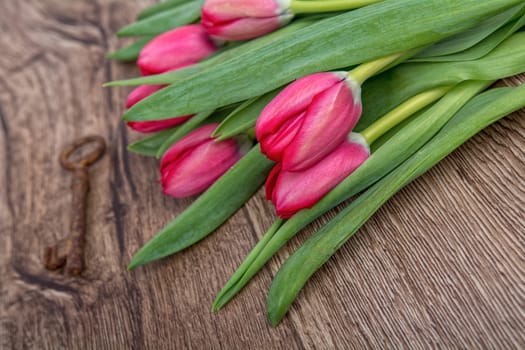 Red tulips on a brown wooden background