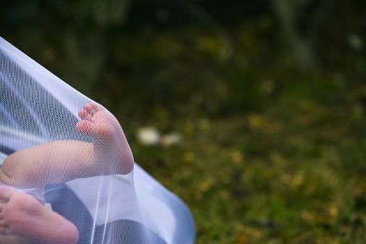 Newborn feet trapped and pushing a mosquito net