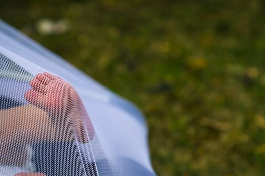 Newborn feet trapped and pushing a mosquito net